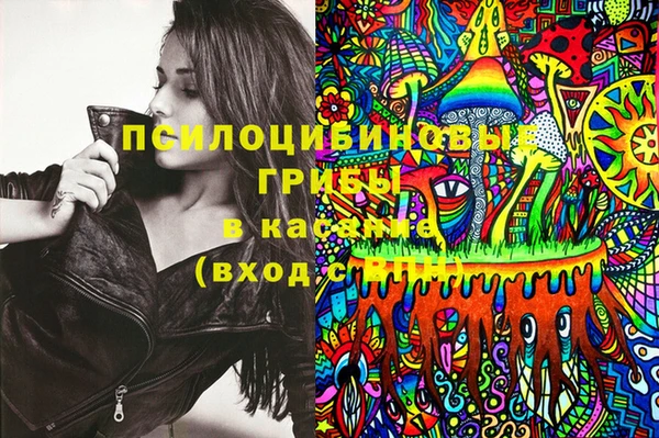 мет Аркадак