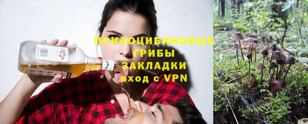 Альфа ПВП Арсеньев
