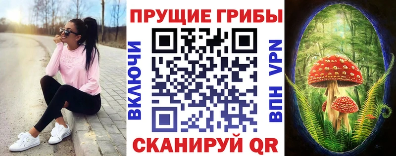 Купить закладки  Алупка  Псилоцибиновые грибы MAGIC MUSHROOMS 